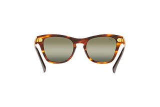 Rückansicht Ray-Ban RB0707SM (954/G4)