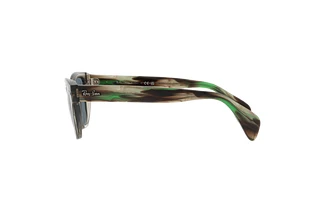 Seitenansicht Ray-Ban RB0880S (66353R)