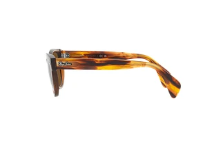 Seitenansicht Ray-Ban RB0880S (664057)