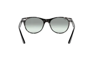 Rückansicht Ray-Ban WAYFARER II (RB2185 - 1250AD)