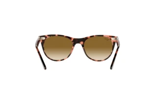 Rückansicht Ray-Ban WAYFARER II (RB2185 - 133451)
