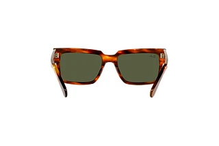 Rückansicht Ray-Ban INVERNESS (RB2191 - 954/31)