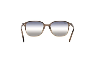 Rückansicht Ray-Ban LEONARD (RB2193 - 1327GF)