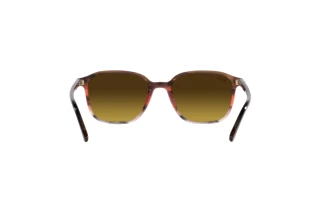 Rückansicht Ray-Ban LEONARD (RB2193 - 138085)