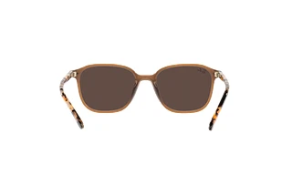 Rückansicht Ray-Ban LEONARD (RB2193 - 663693)