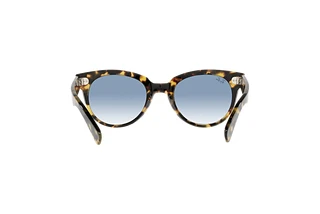 Rückansicht Ray-Ban ORION (RB2199 - 13323F)