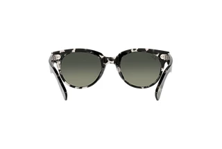 Rückansicht Ray-Ban ORION (RB2199 - 133371)