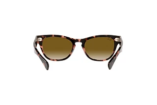 Rückansicht Ray-Ban LARAMIE (RB2201 - 133451)