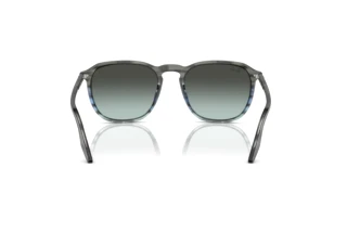 Rückansicht Ray-Ban RB2203 (1391GK)