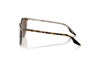 Seitenansicht Ray-Ban RB2204 (139357)