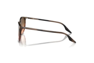 Seitenansicht Ray-Ban RB2204 (13953B)