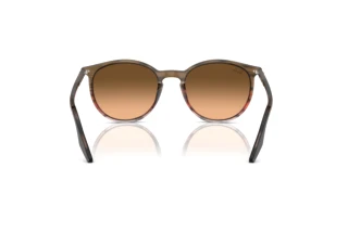 Rückansicht Ray-Ban RB2204 (13953B)