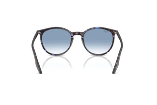Rückansicht Ray-Ban RB2204 (14303F)