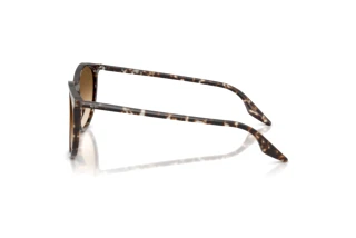 Seitenansicht Ray-Ban RB2204 (143151)