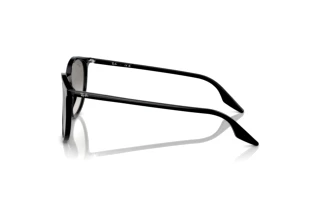 Seitenansicht Ray-Ban RB2204 (901/32)