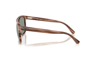 Seitenansicht Ray-Ban RB2213CH (1423O9)