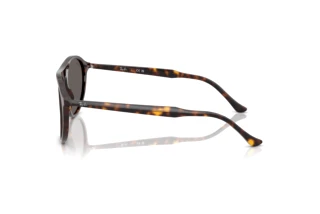Seitenansicht Ray-Ban RB2215 (902/B1)