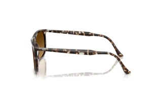 Seitenansicht Ray-Ban RB2216 (143185)