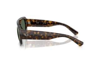 Seitenansicht Ray-Ban RB2218 (679071)
