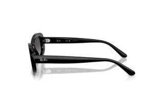 Seitenansicht Ray-Ban RB2221 (901/M3)