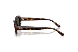 Seitenansicht Ray-Ban RB2221 (902/31)
