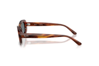 Seitenansicht Ray-Ban RB2221 (954/62)