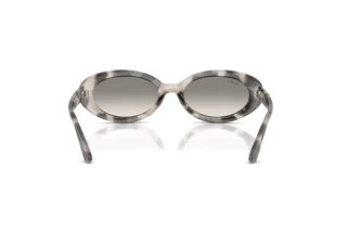 Rückansicht Ray-Ban RB2223 (144832)