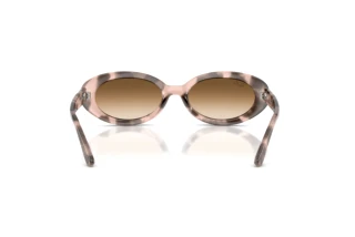 Rückansicht Ray-Ban RB2223 (144951)