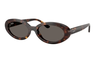 Vorderansicht Ray-Ban RB2223 (902/B1)