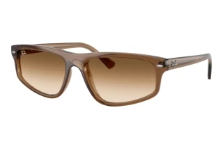 Vorderansicht Ray-Ban RB2225 (664051)