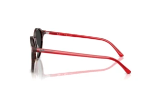 Seitenansicht Ray-Ban BERNARD (RB2230 - 141948)