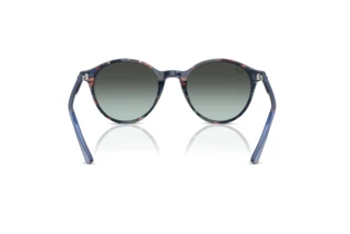 Rückansicht Ray-Ban BERNARD (RB2230 - 1420GK)