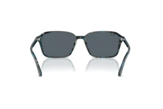 Rückansicht Ray-Ban RAIMOND (RB2231 - 1417R5)