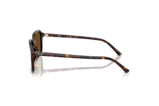 Seitenansicht Ray-Ban RAIMOND (RB2231 - 902/57)