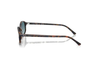 Seitenansicht Ray-Ban RB2232 (13563M)