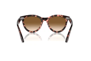 Rückansicht Ray-Ban WAYFARER WAY (RB2241 - 133451)