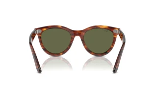 Rückansicht Ray-Ban WAYFARER WAY (RB2241 - 954/58)