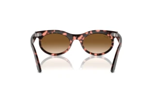 Rückansicht Ray-Ban WAYFARER OVAL (RB2242 - 133451)