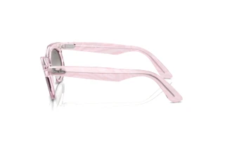 Seitenansicht Ray-Ban WAYFARER OVAL (RB2242 - 138432)