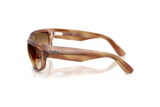 Seitenansicht Ray-Ban MEGA BALORAMA (RB2289 - 140351)