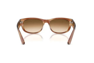 Rückansicht Ray-Ban MEGA BALORAMA (RB2289 - 140351)