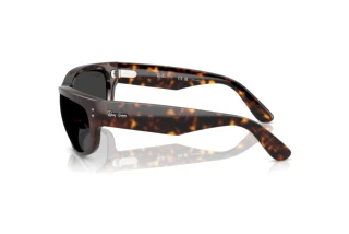 Seitenansicht Ray-Ban MEGA BALORAMA (RB2289 - 902/48)