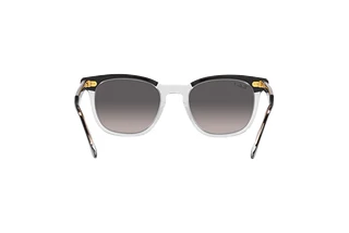 Rückansicht Ray-Ban HAWKEYE (RB2298 - 1294M3)