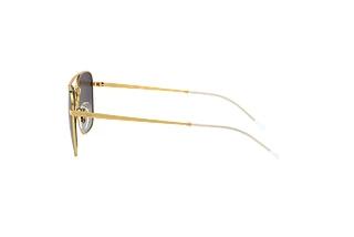 Seitenansicht Ray-Ban RB3588 (90548G)