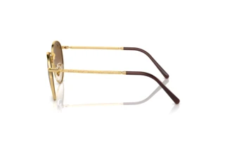 Seitenansicht Ray-Ban NEW ROUND (RB3637 - 001/51)