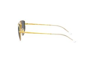 Seitenansicht Ray-Ban RB3668 (905487)