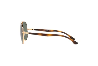 Seitenansicht Ray-Ban RB3675 (001/58)