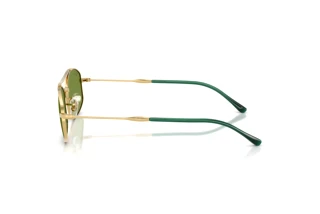 Seitenansicht Ray-Ban RB3719 (001/4E)