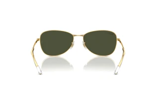 Rückansicht Ray-Ban RB3733 (001/31)