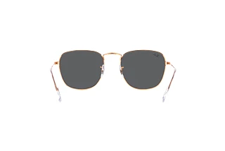 Rückansicht Ray-Ban FRANK (RB3857 - 9202B1)